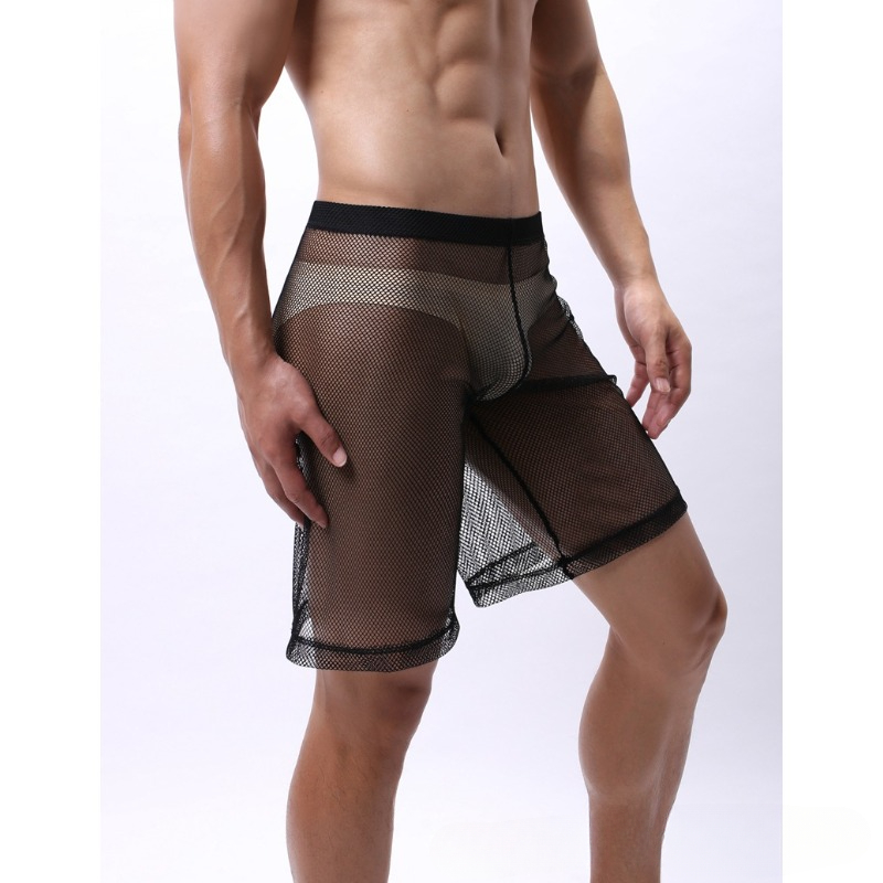 Low Rise Mesh Erotic Underwear - đánh giá và giá Pouch Boxer Pouch