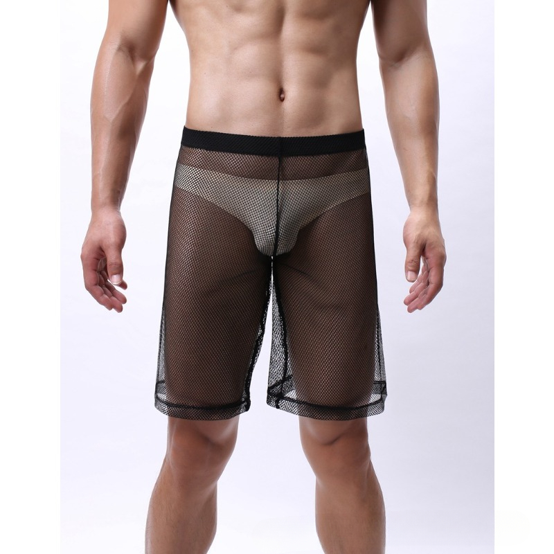Low Rise Mesh Erotic Underwear - đánh giá và giá Pouch Boxer Pouch
