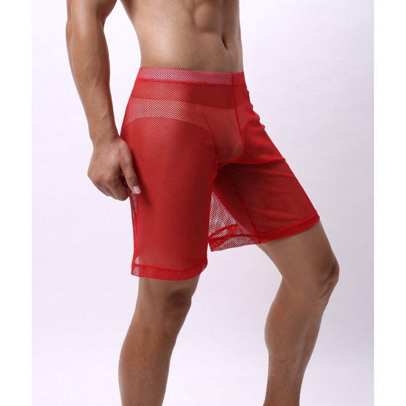 Low Rise Mesh Erotic Underwear - đánh giá và giá Pouch Boxer Pouch