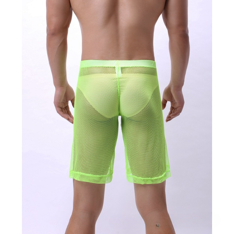 Low Rise Mesh Erotic Underwear - đánh giá và giá Pouch Boxer Pouch